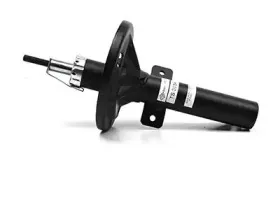 BSG 30-300-035 BSG